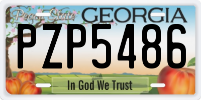 GA license plate PZP5486