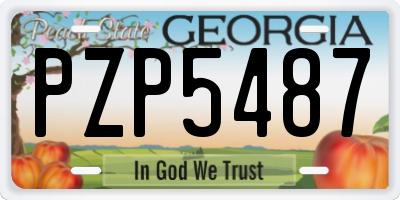 GA license plate PZP5487