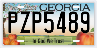 GA license plate PZP5489