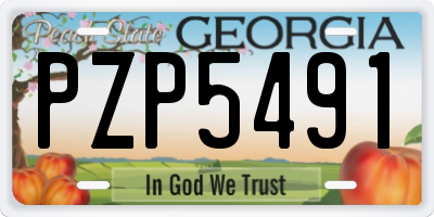 GA license plate PZP5491