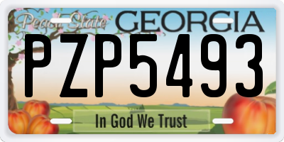 GA license plate PZP5493