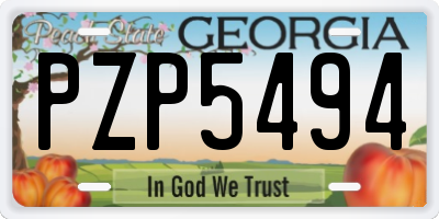 GA license plate PZP5494
