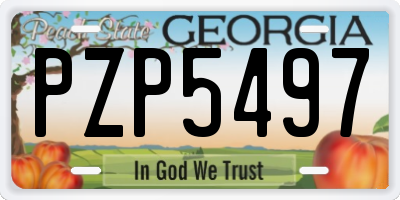 GA license plate PZP5497