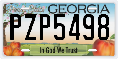 GA license plate PZP5498