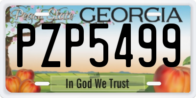 GA license plate PZP5499
