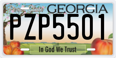 GA license plate PZP5501