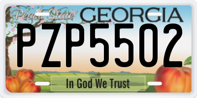 GA license plate PZP5502