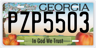 GA license plate PZP5503