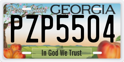 GA license plate PZP5504