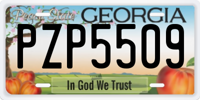GA license plate PZP5509
