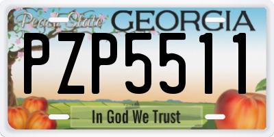 GA license plate PZP5511