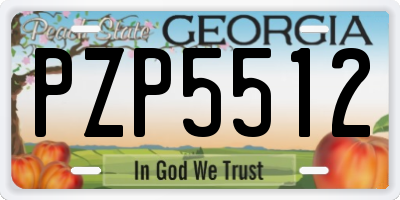 GA license plate PZP5512