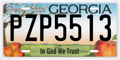 GA license plate PZP5513