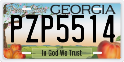 GA license plate PZP5514