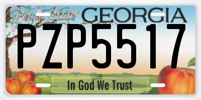 GA license plate PZP5517