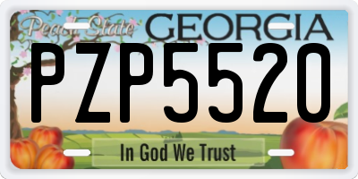 GA license plate PZP5520
