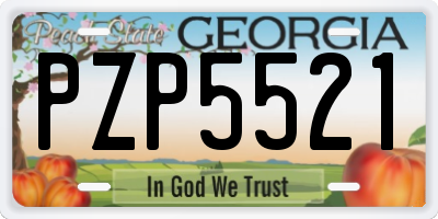GA license plate PZP5521