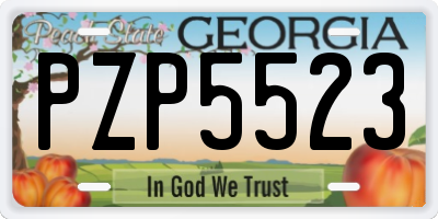 GA license plate PZP5523