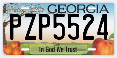 GA license plate PZP5524