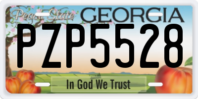 GA license plate PZP5528