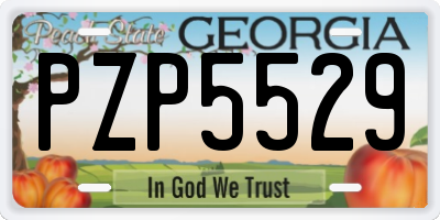 GA license plate PZP5529