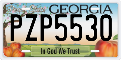 GA license plate PZP5530