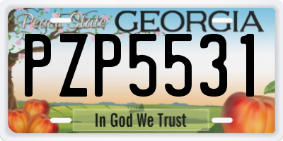 GA license plate PZP5531