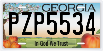GA license plate PZP5534