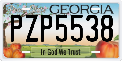GA license plate PZP5538