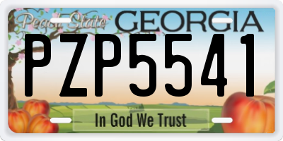 GA license plate PZP5541