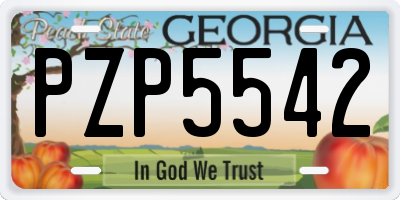 GA license plate PZP5542