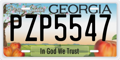 GA license plate PZP5547