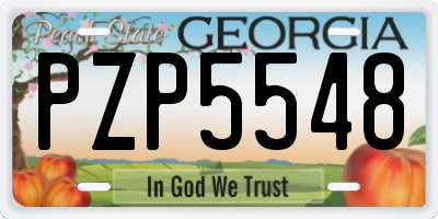 GA license plate PZP5548