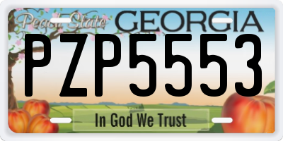 GA license plate PZP5553
