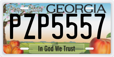 GA license plate PZP5557