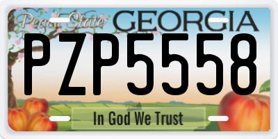 GA license plate PZP5558