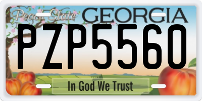 GA license plate PZP5560