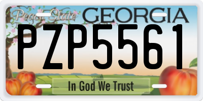 GA license plate PZP5561