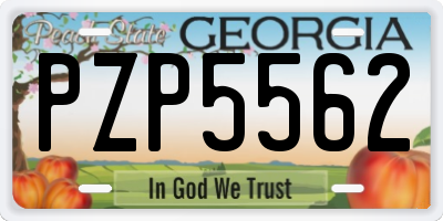 GA license plate PZP5562
