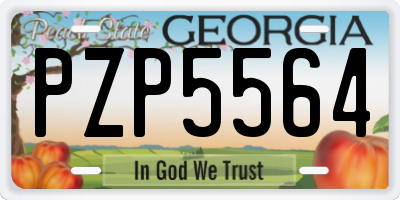 GA license plate PZP5564