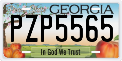 GA license plate PZP5565