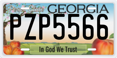 GA license plate PZP5566