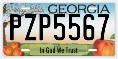 GA license plate PZP5567