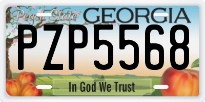 GA license plate PZP5568
