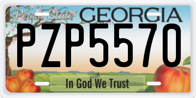 GA license plate PZP5570