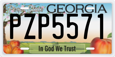 GA license plate PZP5571