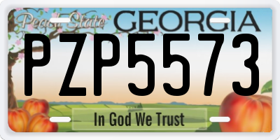 GA license plate PZP5573