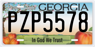 GA license plate PZP5578