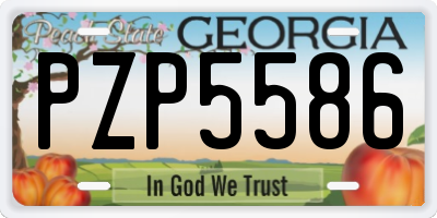 GA license plate PZP5586