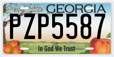 GA license plate PZP5587